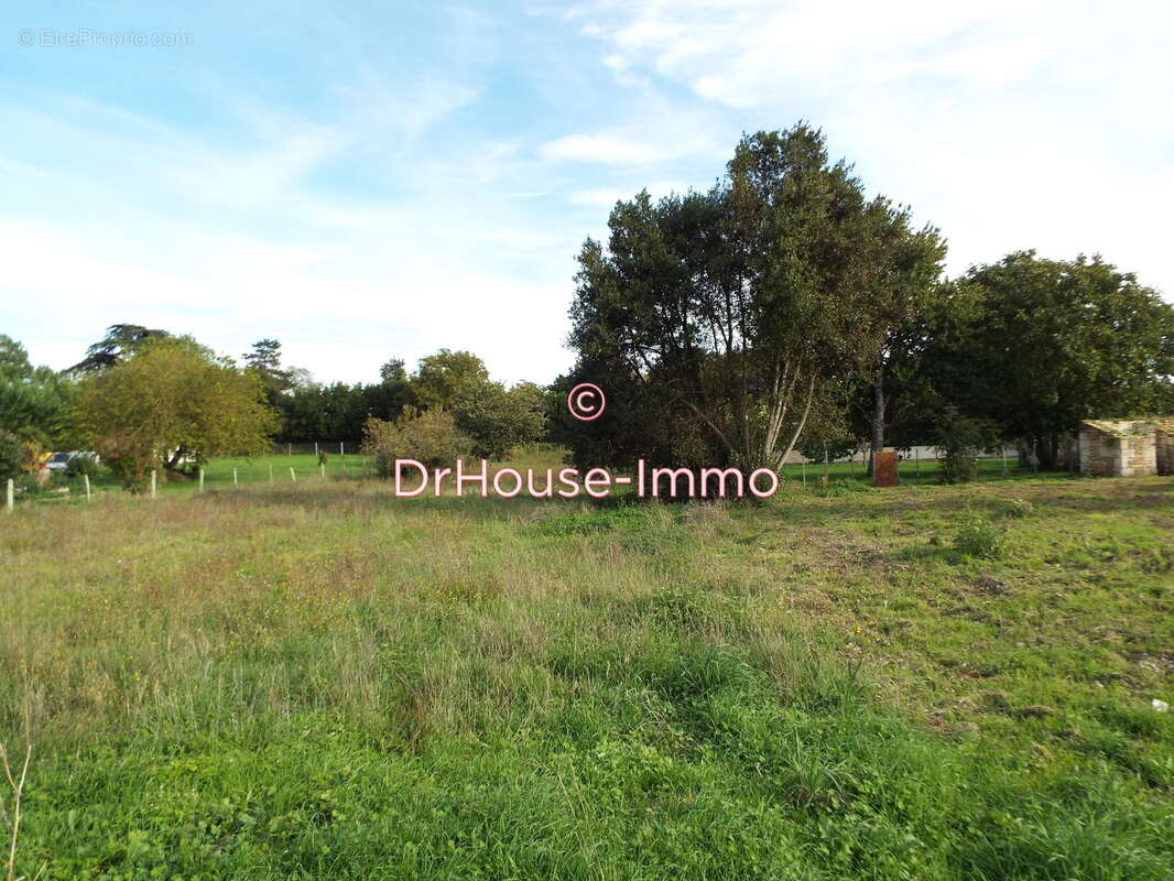 Terrain à BOIS