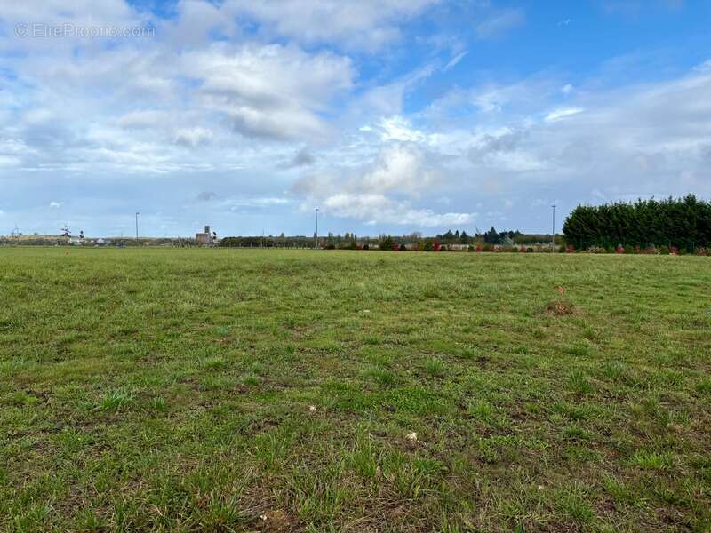 Terrain à NEUILLE-PONT-PIERRE