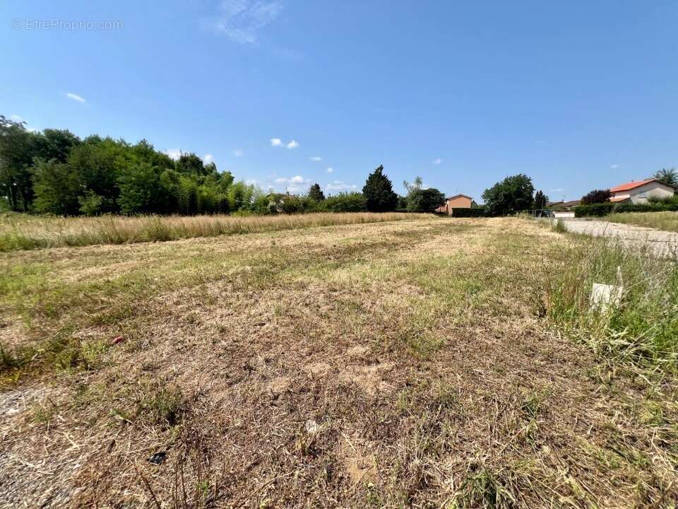 Terrain à REPLONGES