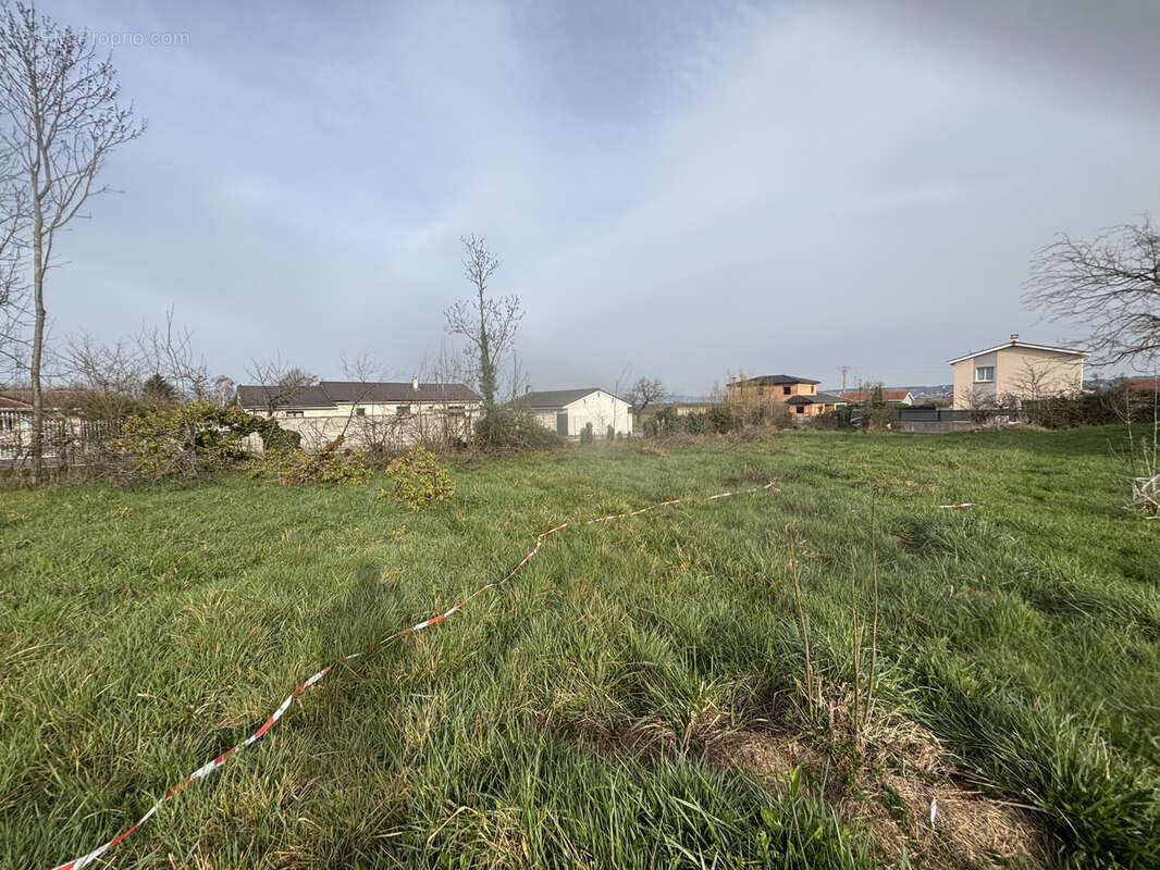 Terrain à ASSIEU