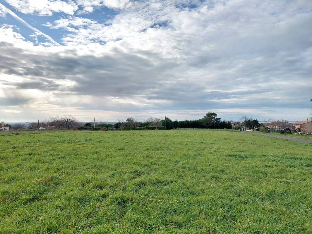 Terrain à SAINT-GEORGES-DES-AGOUTS