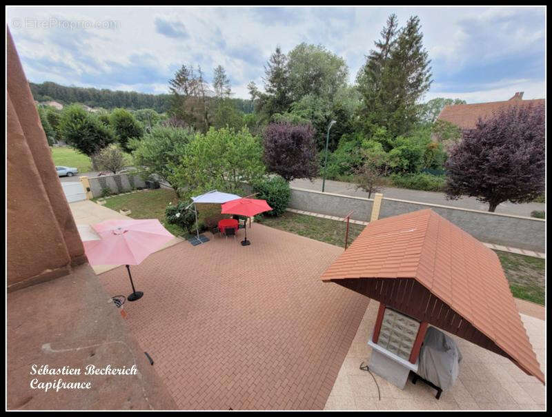 Maison à SARREINSMING