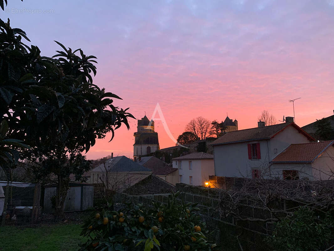 Maison à vendre en plein centre d'Apremont avec jardin et vue château - photo 7