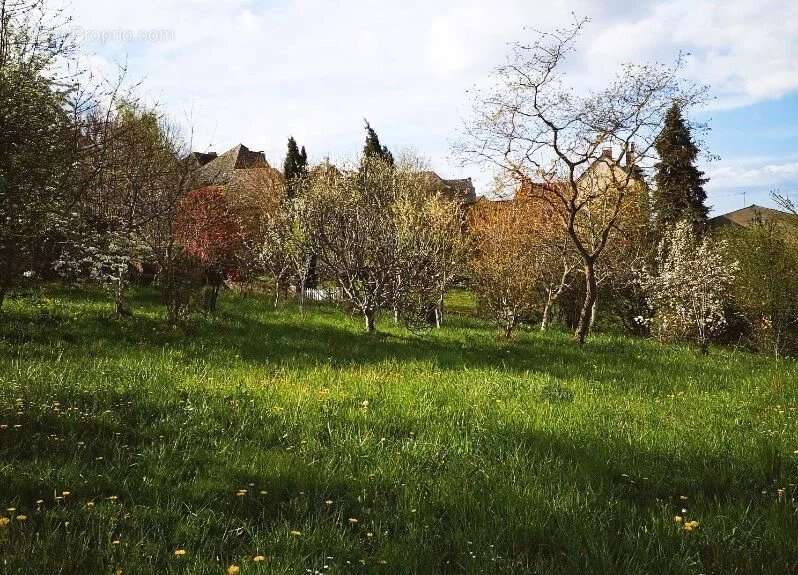 Maison à SAINT-ANDRE-DE-NAJAC