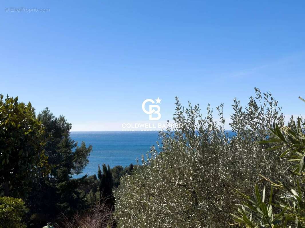 Villa vue mer, domaine privé - 83320 Carqueiranne - photo 13