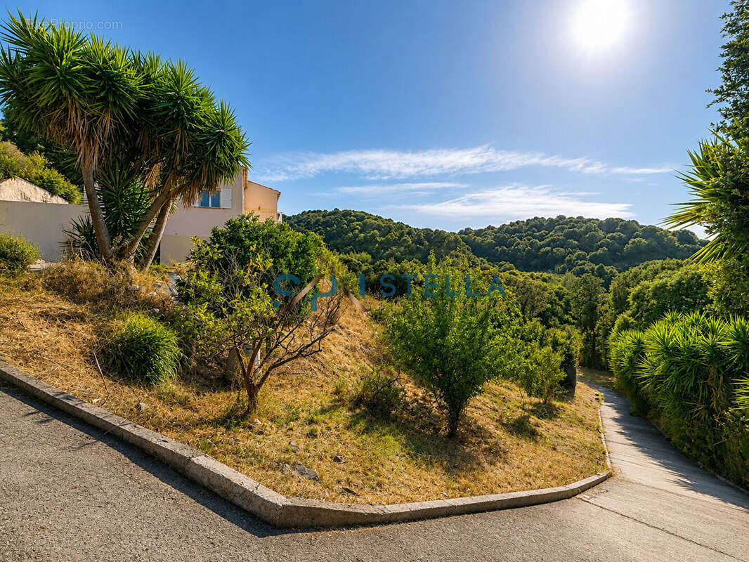 Propriété vue mer panoramique - 270 m² habitables et plus de 3 000 m² de terrain : une propriété rare à Calcatoggio - photo 17