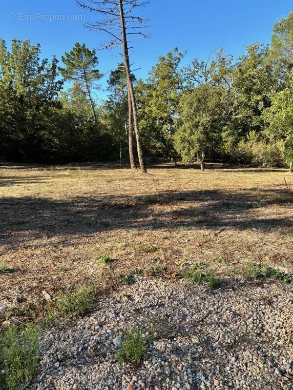 Terrain à MONTAUROUX