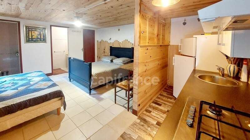 Maison à LE BUISSON-DE-CADOUIN