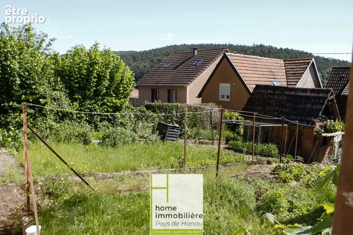 Reipertswiller - Belle maison au coeur de la nature - photo 4
