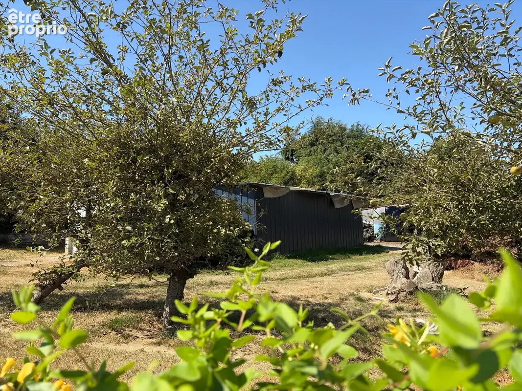 Longere de plain pied, 88m2, 2 chambres - photo 8
