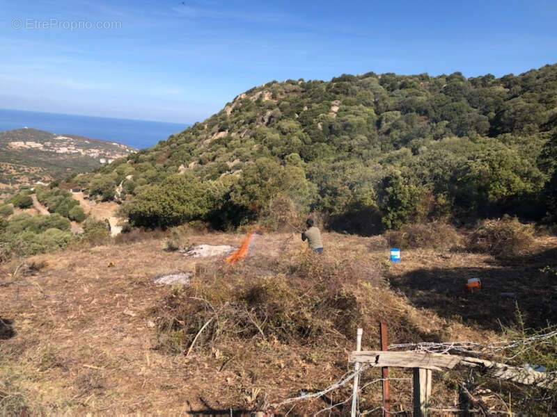 Terrain à SANTA-REPARATA-DI-BALAGNA