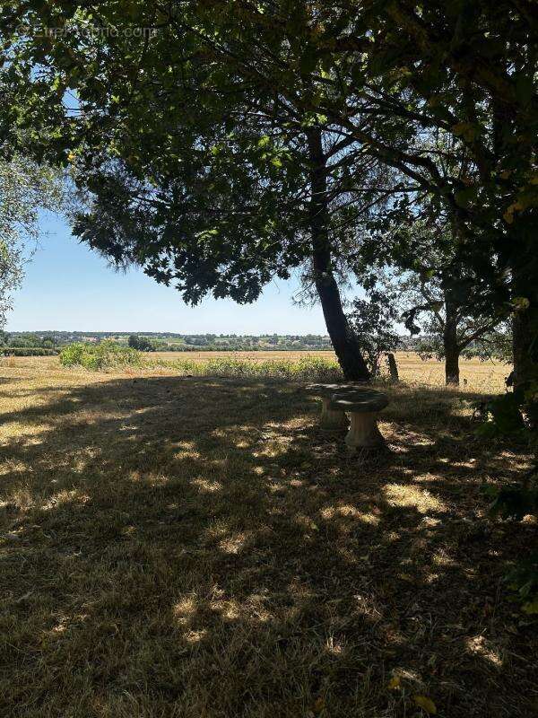 Maison 90 m² à Clere-Sur-Layon  - photo 13