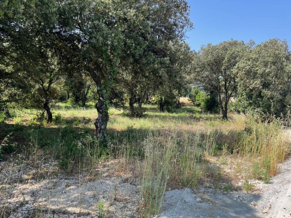 Terrain à LA BAUME-DE-TRANSIT