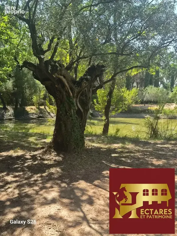 Propriété de charme sur 1ha de terrain au calme absolu sans être isolé - photo 12
