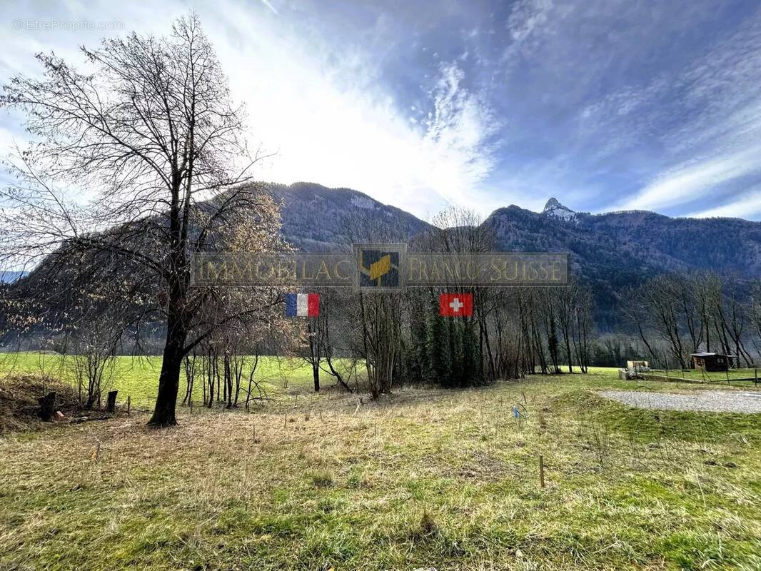 Terrain à LA BALME-DE-THUY