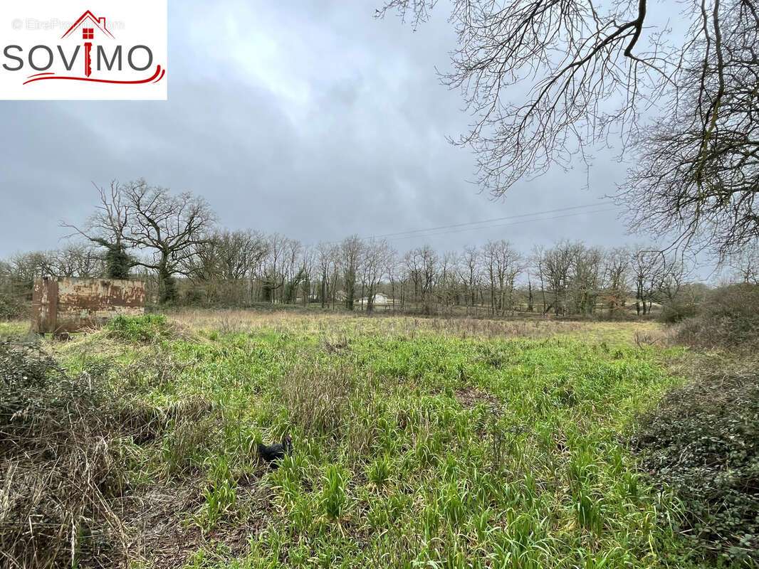Maison à AVAILLES-LIMOUZINE