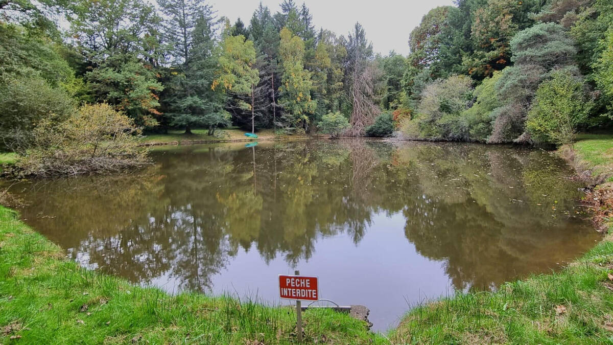 IMG-20251009-WA0000 - Terrain à PIEGUT-PLUVIERS