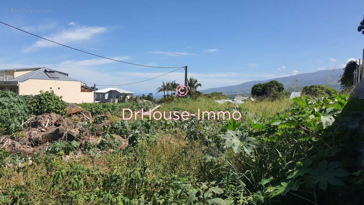 Terrain à LE TAMPON