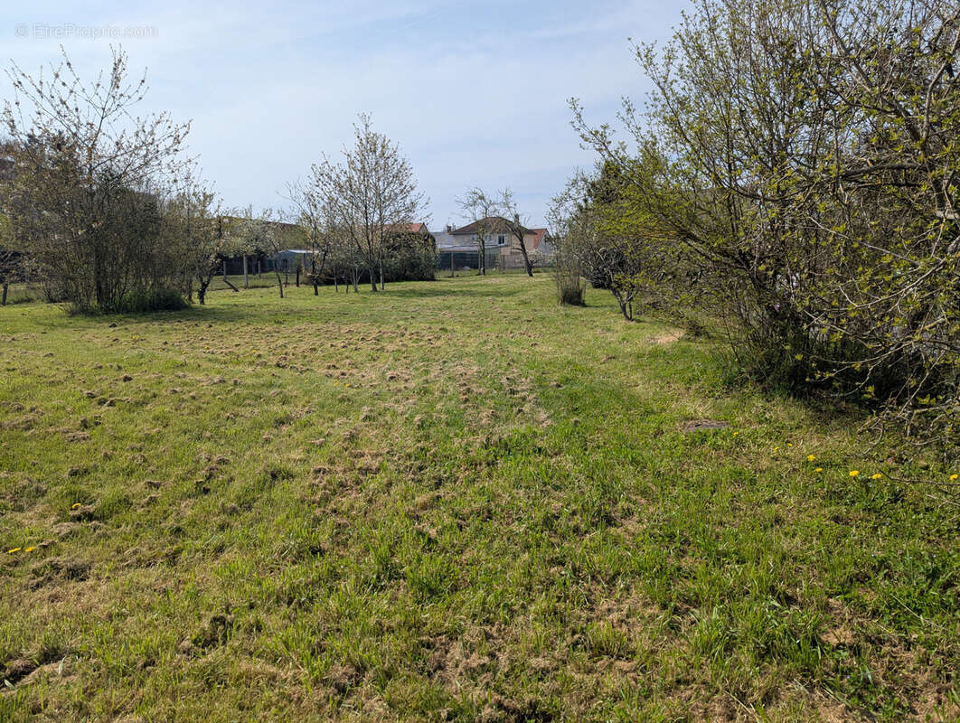 Terrain à LA CHATRE