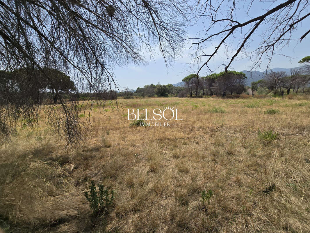 Terrain 4340 m² à Argeles-Sur-Mer  - photo 4