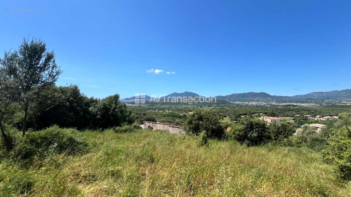 Terrain à BASTELICACCIA