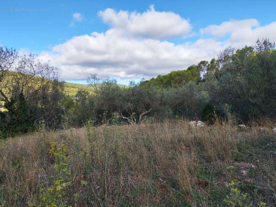 Terrain à CARNOULES