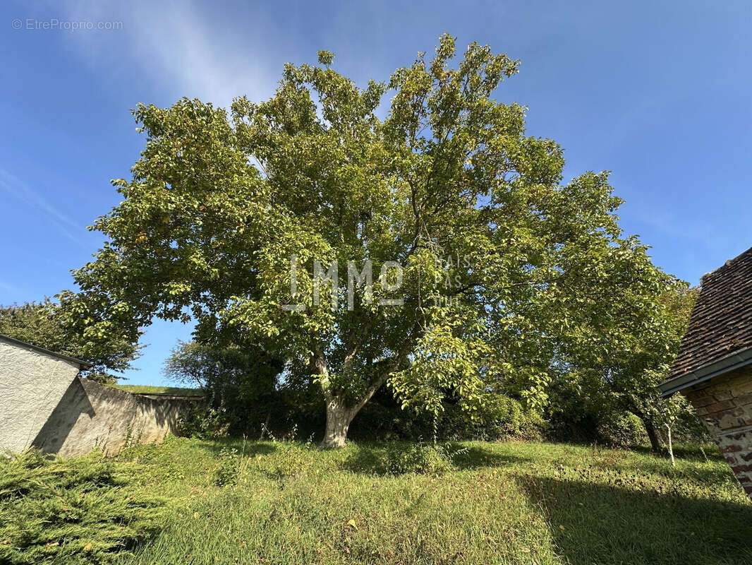 Maison à SAINT-CALAIS