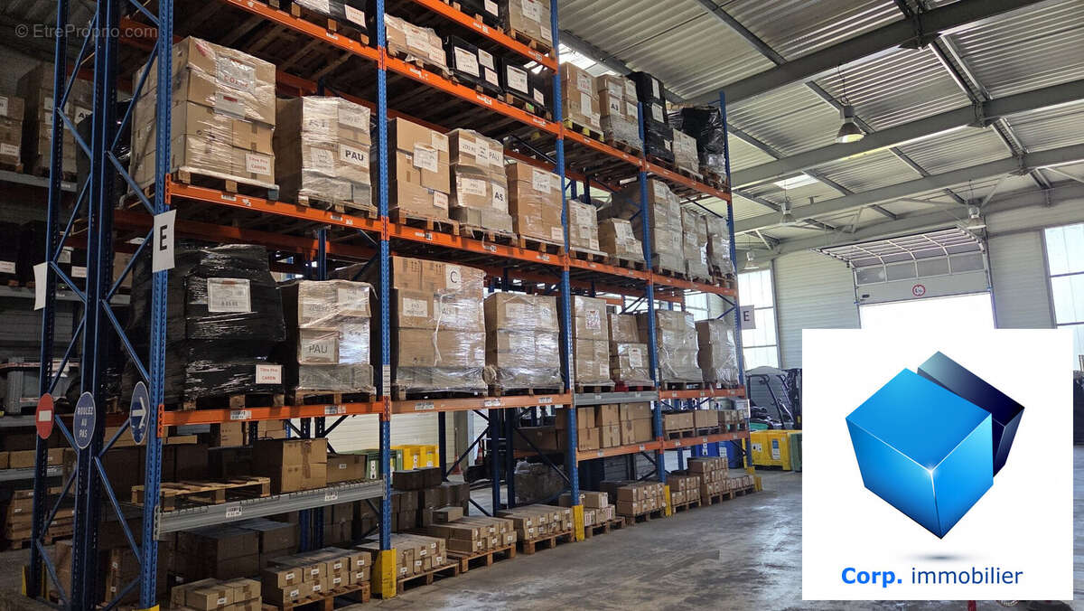 Commerce à SAUVAGNON