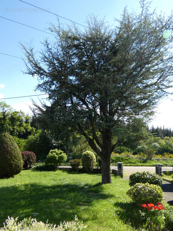 Dans la campagne des Monts d'Arrée - photo 5