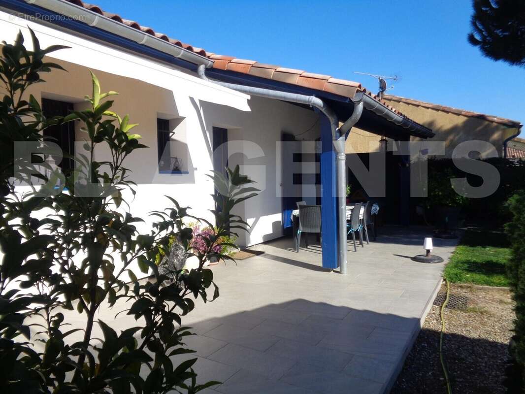 DSC04104 - Maison à CASTELMAYRAN