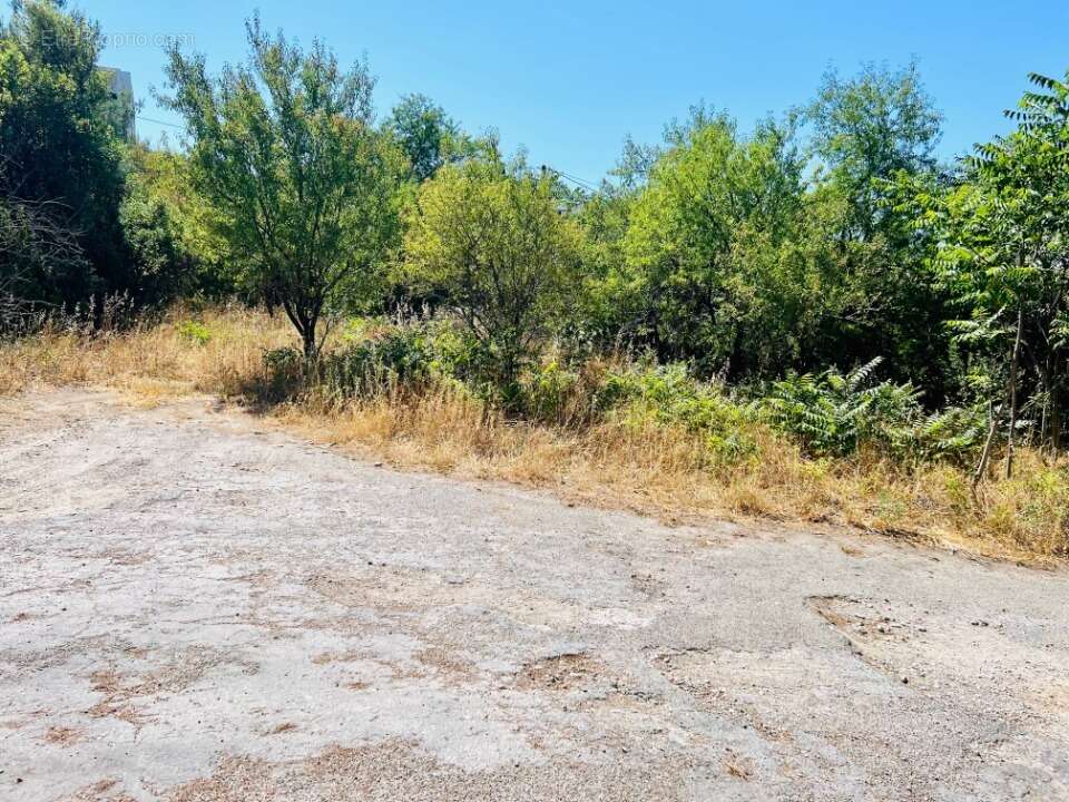 Terrain 412 m² à Marseille-12e  - photo 3