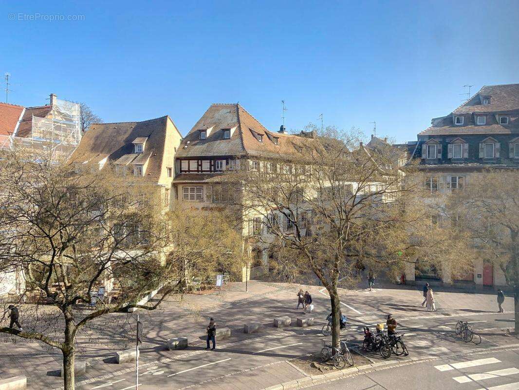 Commerce à STRASBOURG