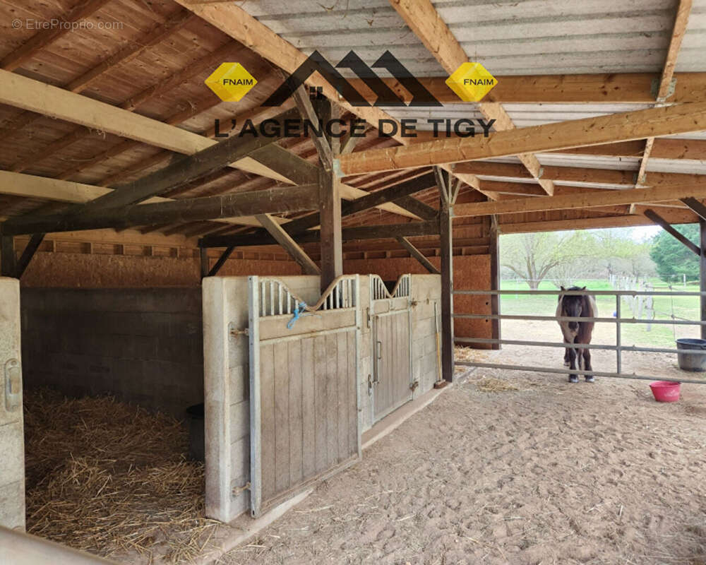 Maison à NEUVY-EN-SULLIAS