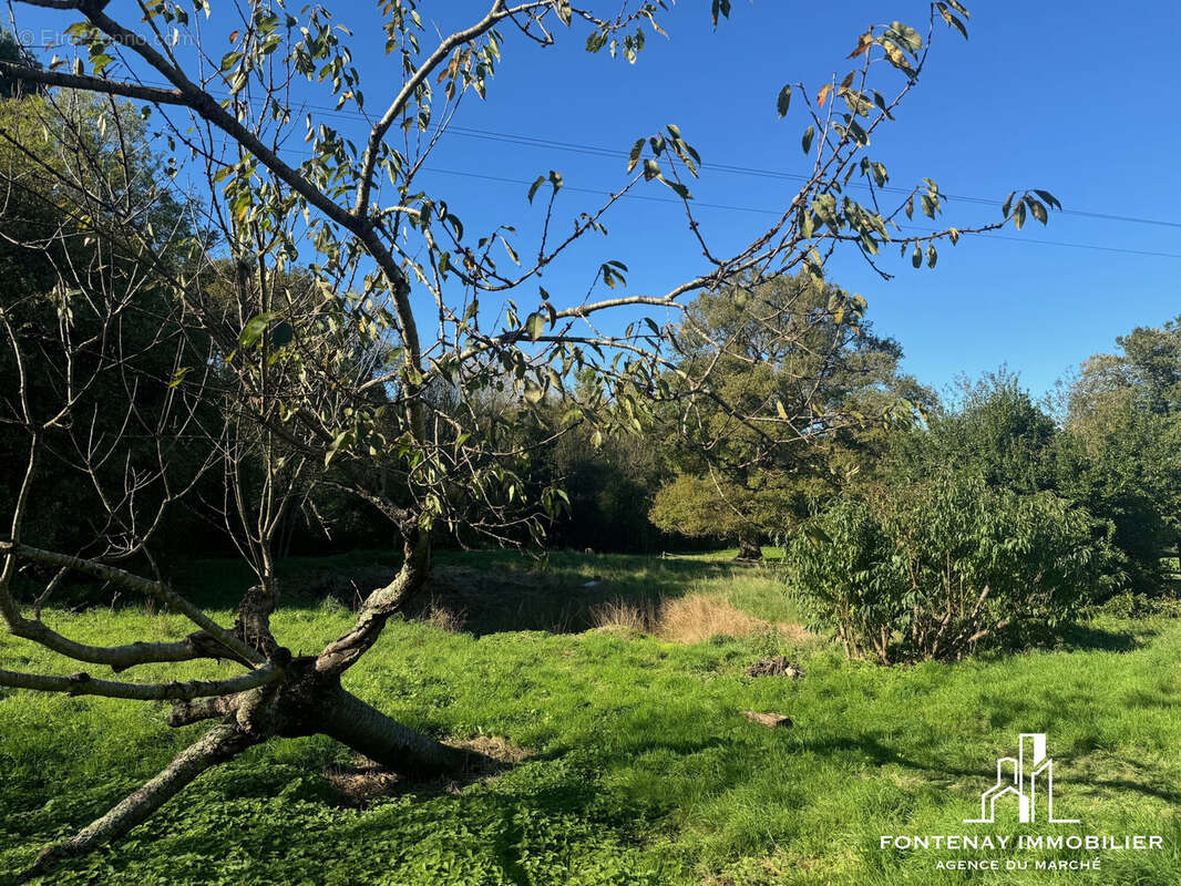 Maison à THOUARSAIS-BOUILDROUX