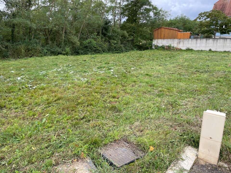 Terrain 505 m² à Issenheim  - photo 2