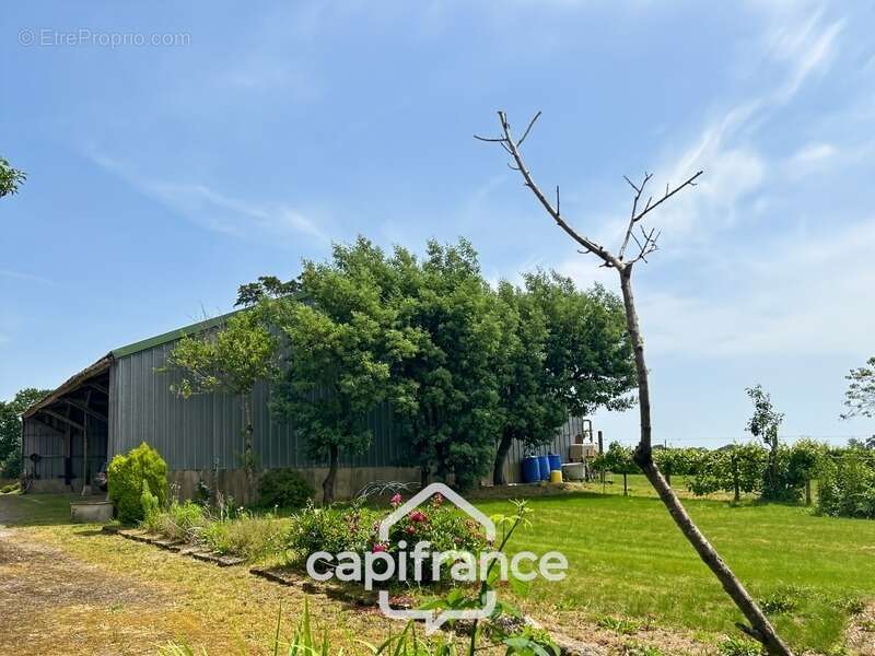 Propriété avec maison, hangar de 360 m², nombreuses dépendances et 6 280 m² de terrain – environnement naturel à kerfourn, à pro - photo 19