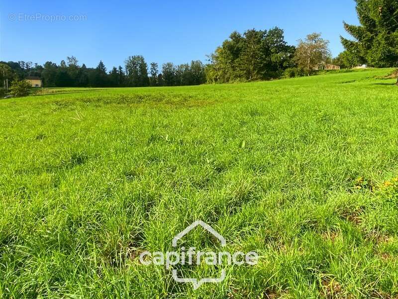 Terrain à vendre  CONDAL (71) - 800m² constructible - photo 4