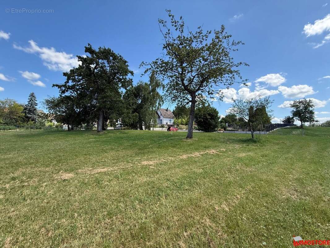 Terrain à MUESPACH-LE-HAUT