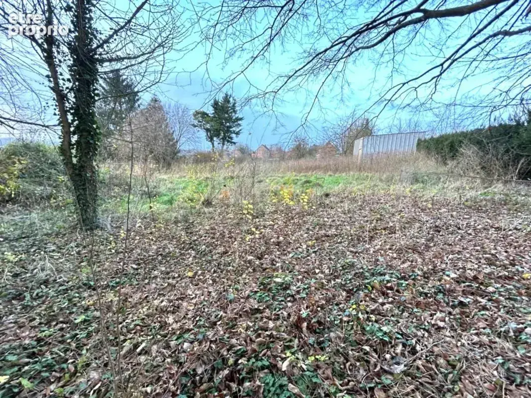 Terrain à vendre de 1 534,00 m² WARGNIES LE GRAND (59) - photo 3