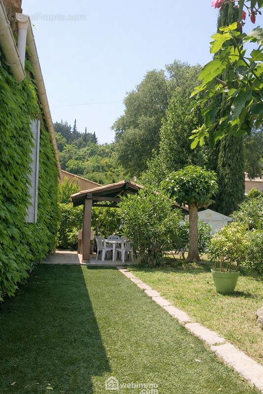 jardin