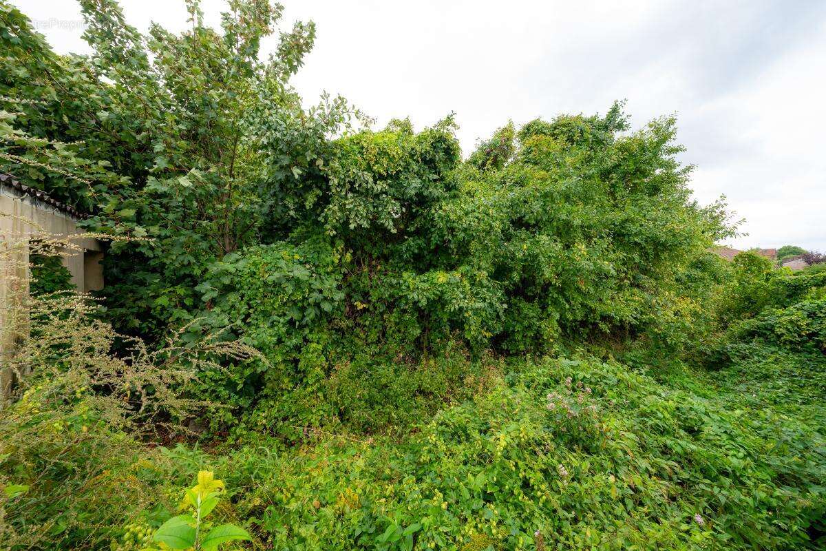 Maison à FLERS-EN-ESCREBIEUX