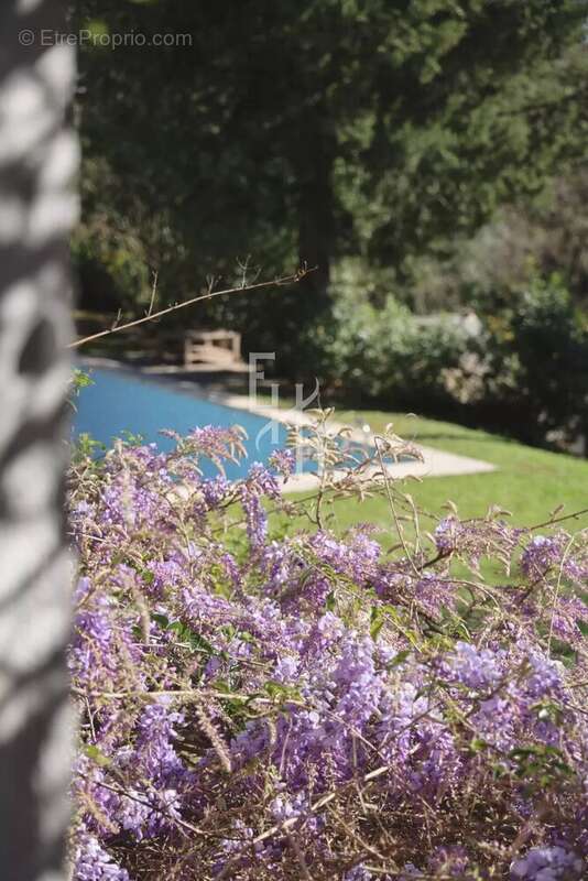 Maison à CHATEAUNEUF-GRASSE