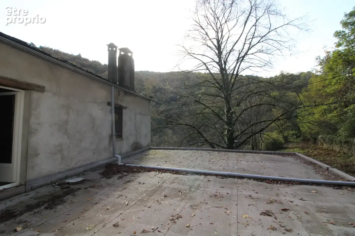MAS 360 de volume + 25 hectares. - photo 60