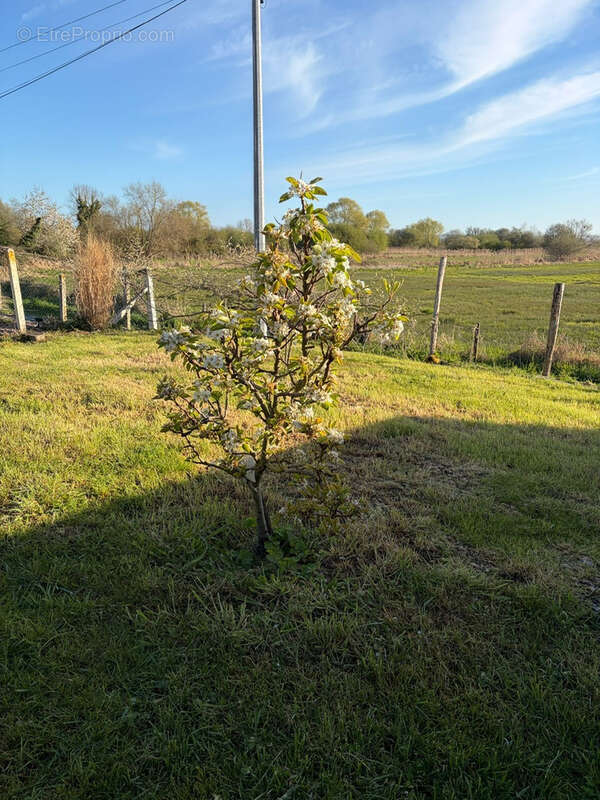 Maison à MARAIS-VERNIER
