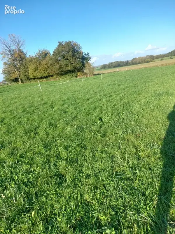 terrain constructible 1594 m² - photo 5