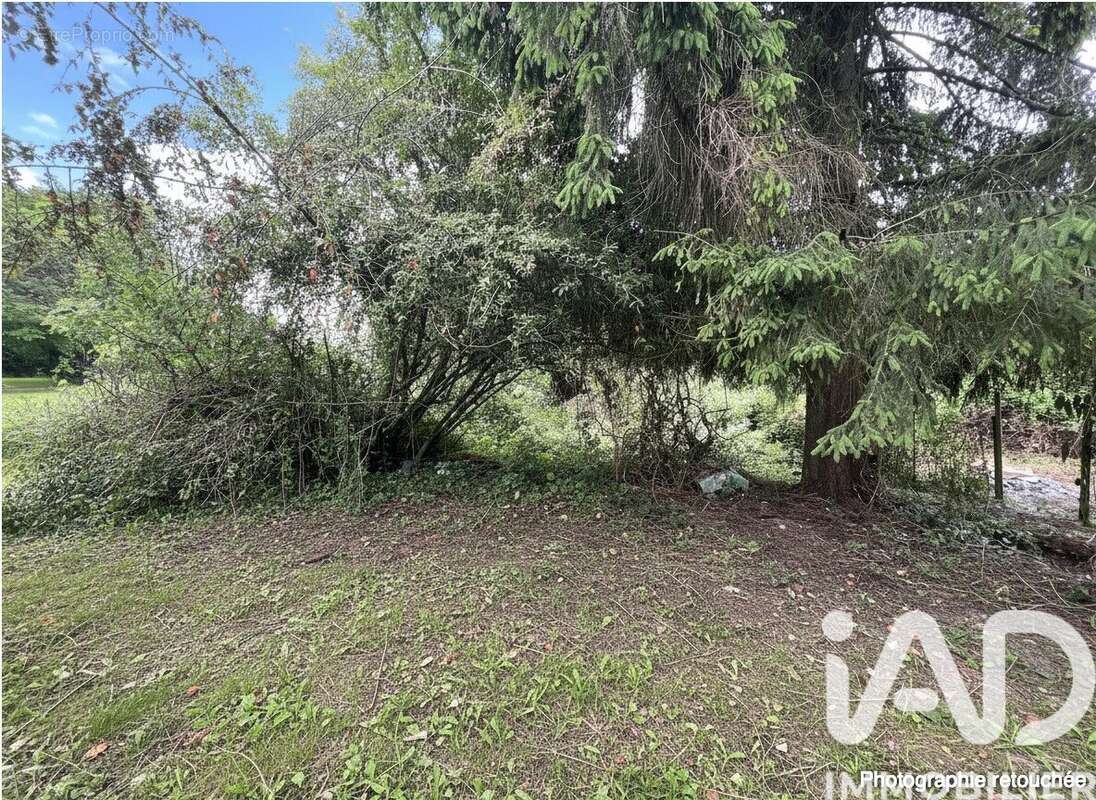Maison 35 m² à Neuville-Lez-Beaulieu  - photo 8