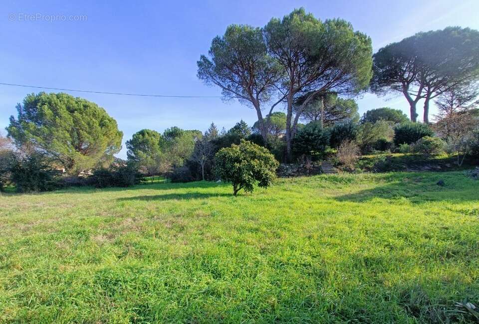 Terrain à VIDAUBAN