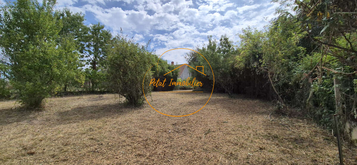 Maison 96 m2 habitables 3 chambres jardin CLERY SAINT ANDRE - photo 2