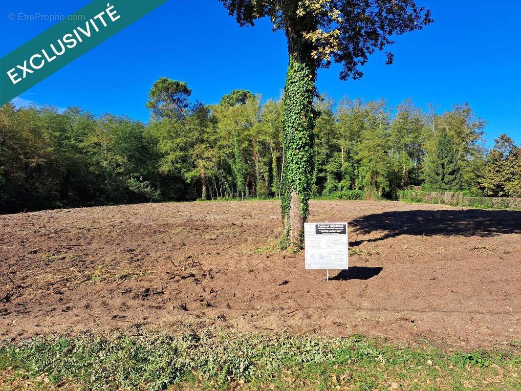 Photo 3 - Terrain à ROQUEFORT