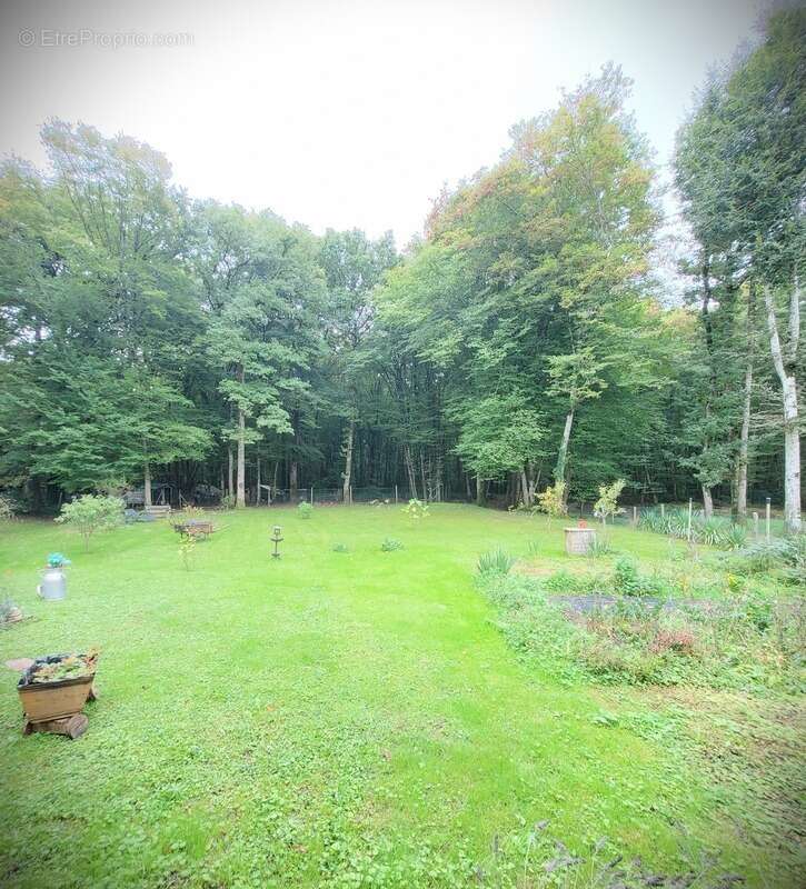 Maison à BAZOCHES-SUR-LE-BETZ